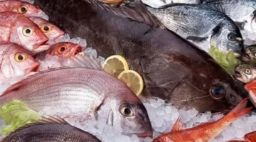 تفاوت الأسعار اليوم الاثنين 3 فبراير في سوق العبور للسمك